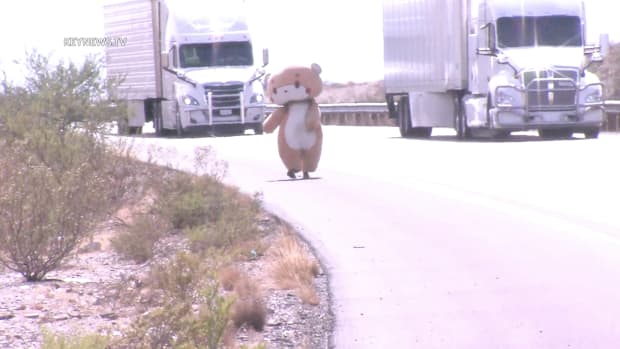 Jesse in Bear Costume Walking to NY from CA