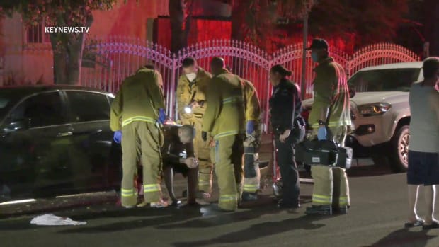 LAFD Attends to Wounded Driver in Sun Valley Shooting