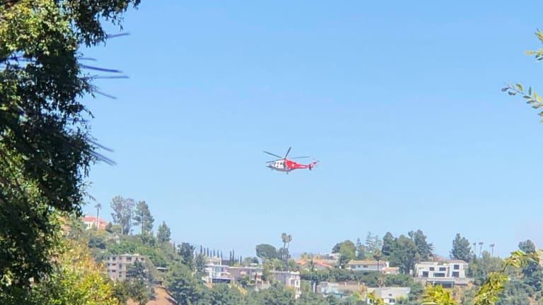 LAFD Battle Hollywood Hills Brush Fire