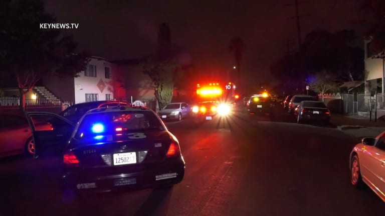 Gunshot Victim Critical After South Los Angeles Shooting