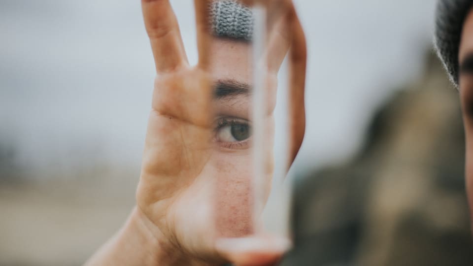 Maxims on Human Nature (Video)