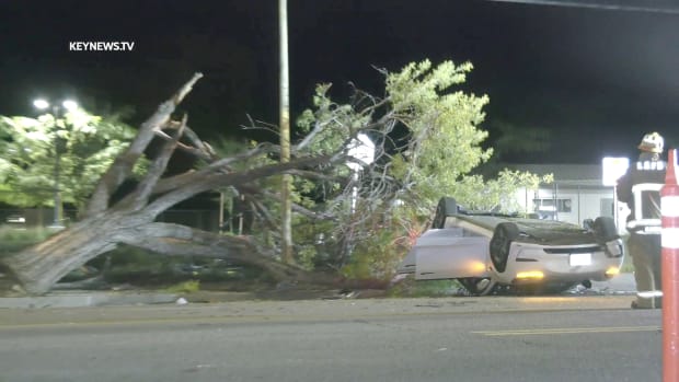 Tesla Crashes into Tree in Woodland Hills