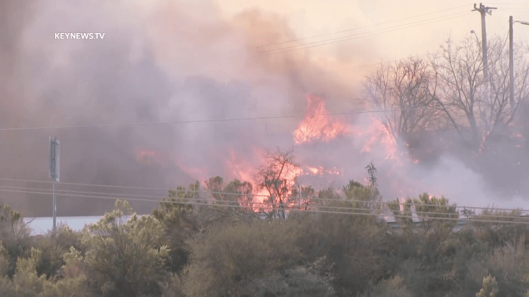 Video: Brush Fire Burns in Newhall Near Golden State Freeway
