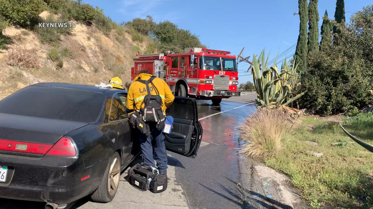 Hollywood Hills Vehicle Collision into Power Pole Sparks Brush Fire, Power Loss
