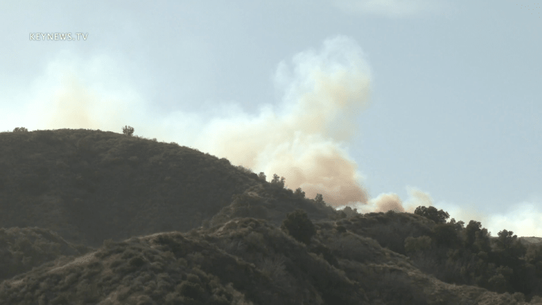  Firefighters Battle Towsley Brush Fire in Santa Clarita