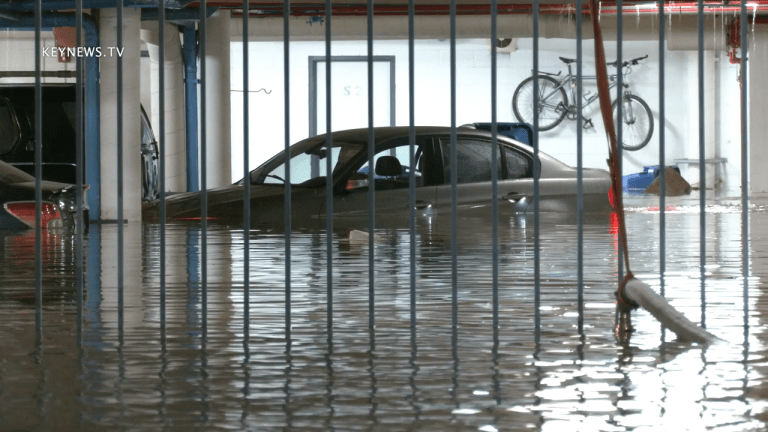 1 Person Rescued, Parking Garage Flooded in Pacific Palisades Water Main Break 