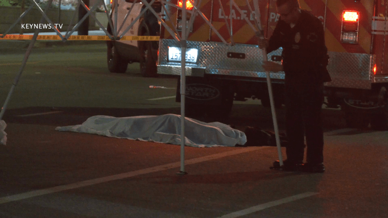 North Hollywood Auto vs Pedestrian Fatal Hit-and-Run