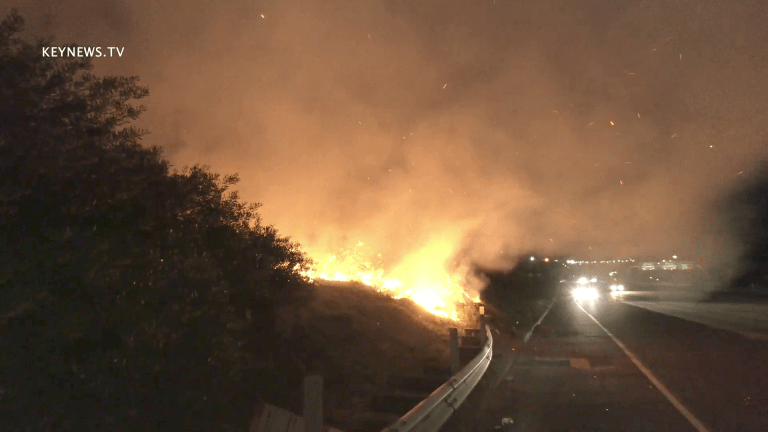 Brush Fire Contained Alongside 118 Freeway in Pacoima