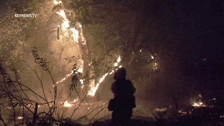 Irwindale Wind-Driven Brush Fire