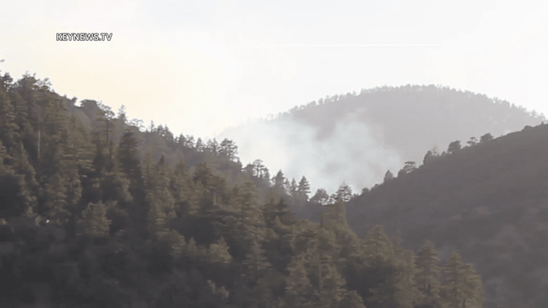 Springs Fire Scorched Acres in Angeles National Forest