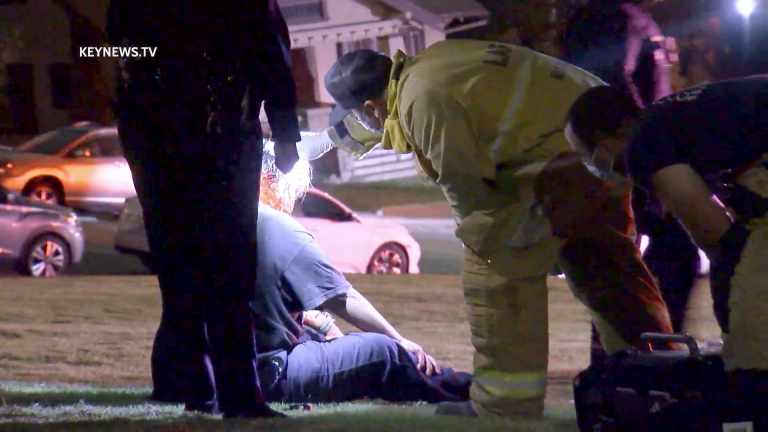 Echo Park Male Victim was Struck in the Head, Then by Vehicle (GRAPHIC)