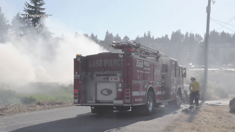 Firefighters Quickly Stop Brush Fire Approaching Neighborhood