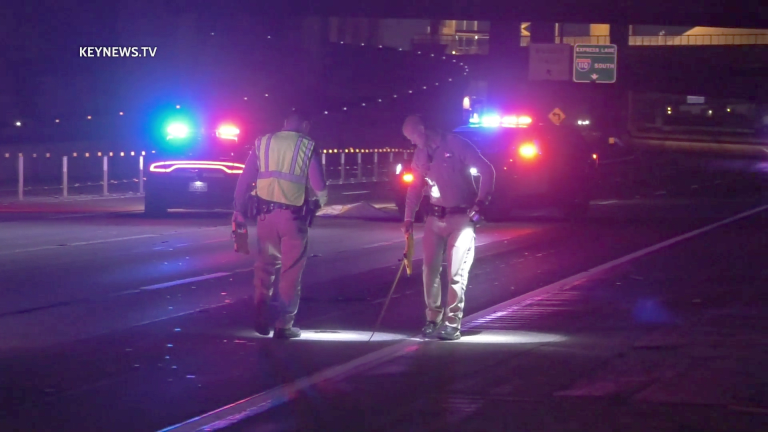 Pedestrian Struck, Killed Crossing 110 Freeway