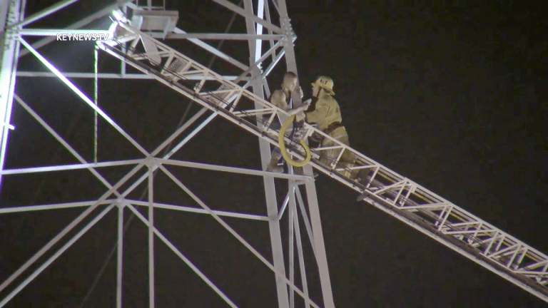 Firefighters Rescue Distraught Man off High Voltage Tower