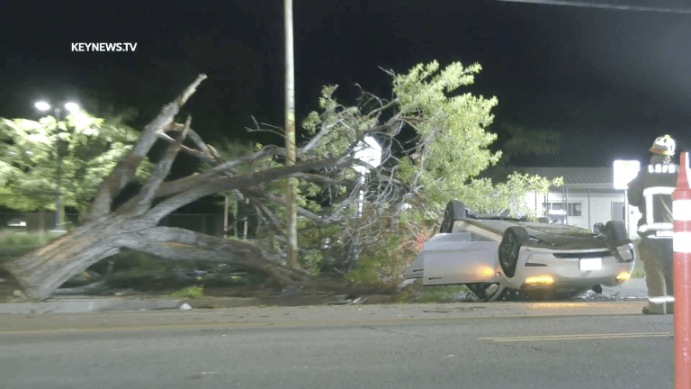 Video: Overturned Tesla Takes Out Tree in Woodland Hills Crash