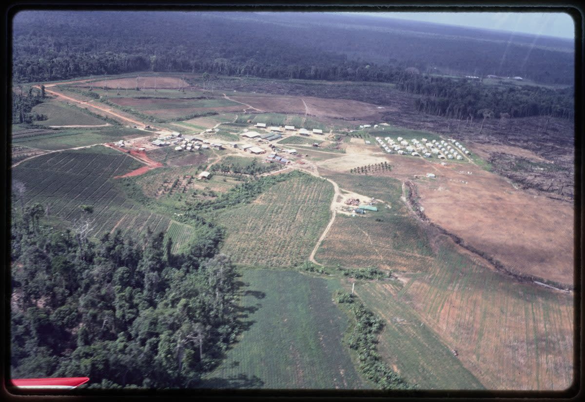 Aerial view of Jonestown (1978)