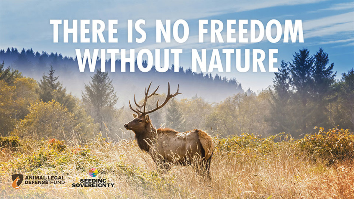 Freedom from others means freedom from the power they would exert on nature. 