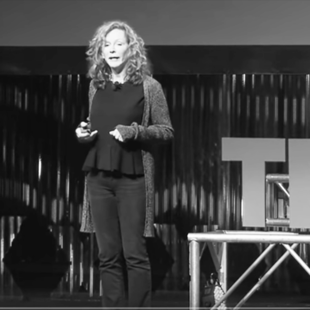 TEDx Fargo: Our Future Depend on the Words We Use to Describe It.
