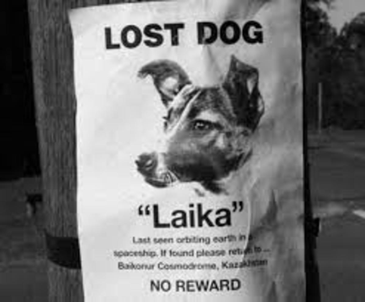 Laika_poster