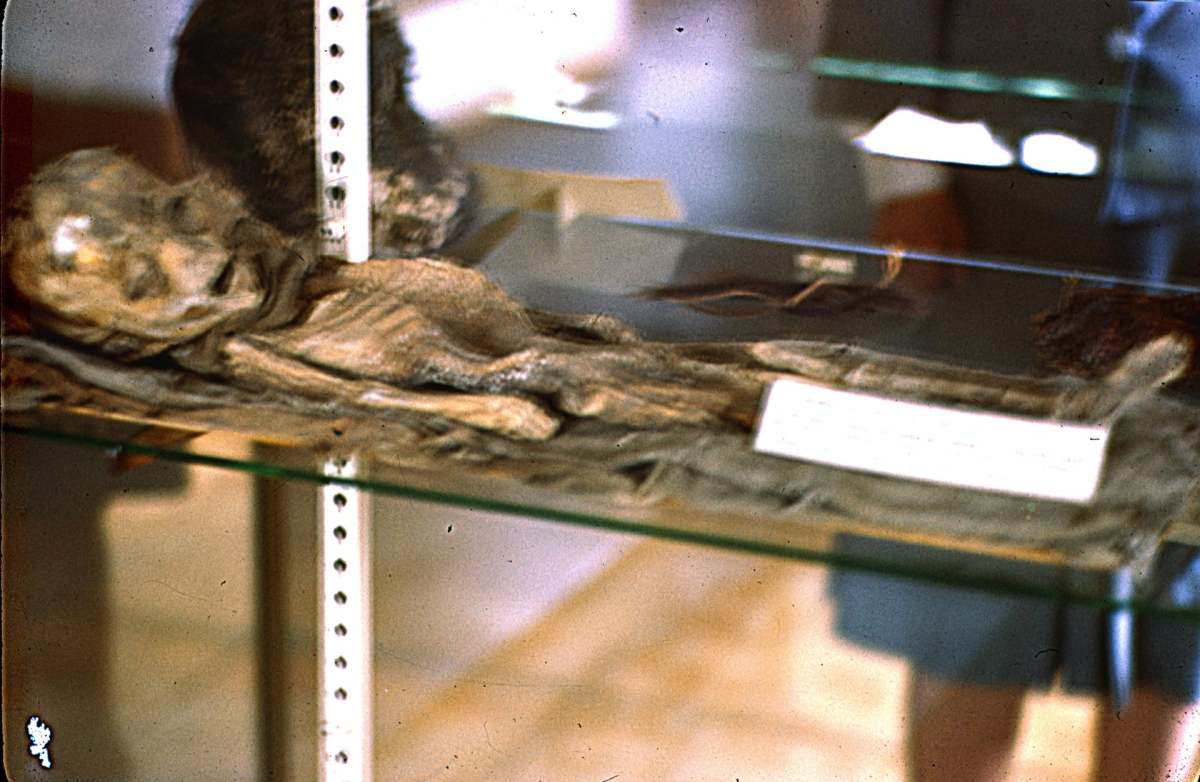 One of the so-called Roswell slides. 